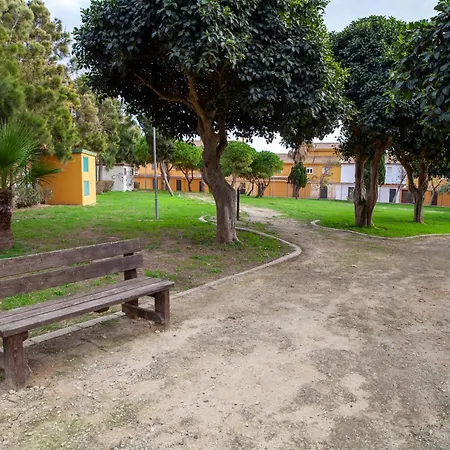 Apartment Pajaro Amarillo Y Turquesa