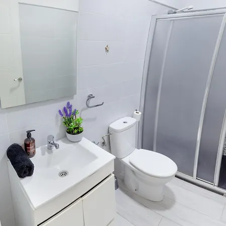 Pajaro Amarillo Y Turquesa Apartment